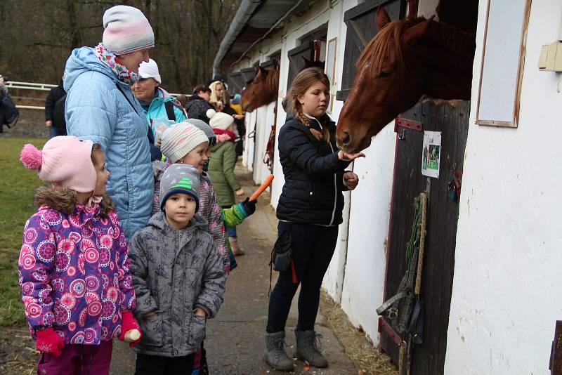 Tradiční krmení koní na Štědrý den ve Střední školy zemědělské v Přerově