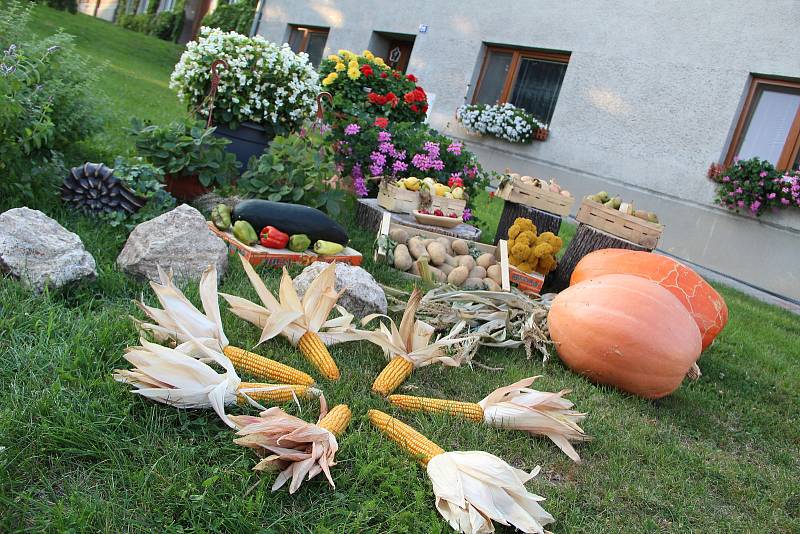 Nápadité aranže z květin, výpěstků a plodů zahrady před domy místních obyvatel Hradčan na Přerovsku