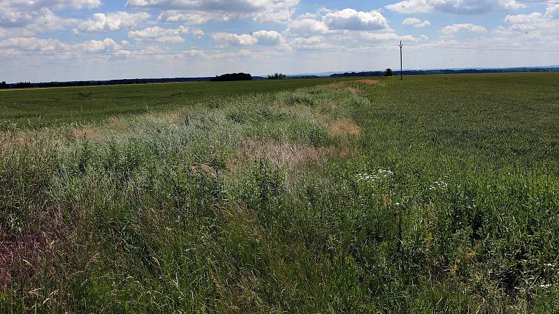 Val proti velké vodě u Troubek není skoro vidět. Je vysoký necelý metr a táhne se  o trochu dále než tři čtvrtě kilometru