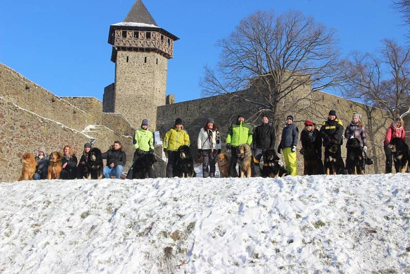 I v mrazech se lidé rozhodli pokořit hrad Helfštýn. Na čtyřicátém ročníku novoročního výšlapu se jich nakonec sešlo 1964. Letošní ročník se nesl v duchu vzpomínek na Marcelu Kleckerovou.