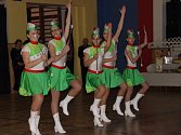 Plesová sezona je v plném proudu a tanečníci to pořádně roztočili také v Dřevohosticích – na XXIV. reprezentačním plese městečka.