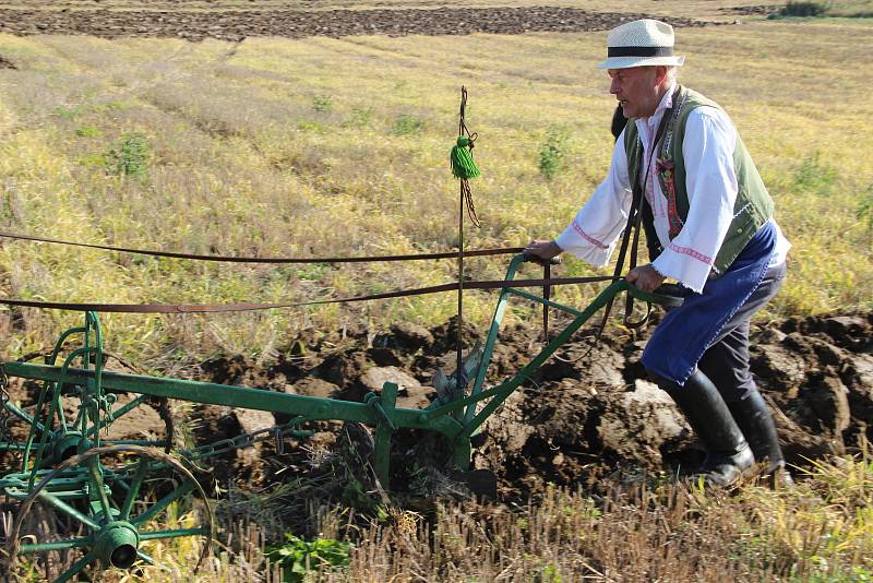 Pole u Prosenic na Přerovsku se stalo v sobotu dějištěm 44. Mistrovství České republiky v orbě, kterého se zúčastnily na tři desítky borců ze všech koutů naší země. Soutěžilo se v několika disciplínách a slavnostního rozorání brázdy se zhostil ministr zem