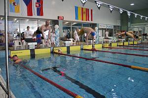 Mezinárodní mistrovství České republiky v plavání kategorie masters v Přerově.