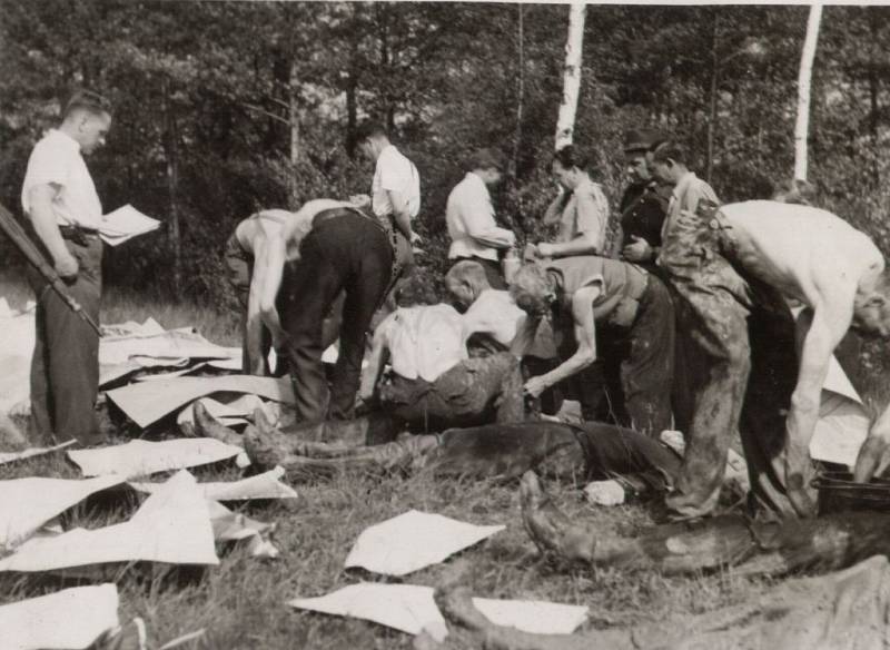 Exhumace popravených osob na střelnici v Olomouci-Lazcích 13. 5. 1945