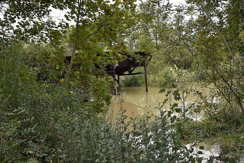 Rozvodněná Morava v Kojetíně, zaplavila třeba i fotbalové hřiště nebo loděnici. 15.10. 2020