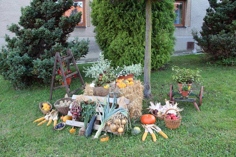 Nápadité aranže z květin, výpěstků a plodů zahrady před domy místních obyvatel Hradčan na Přerovsku