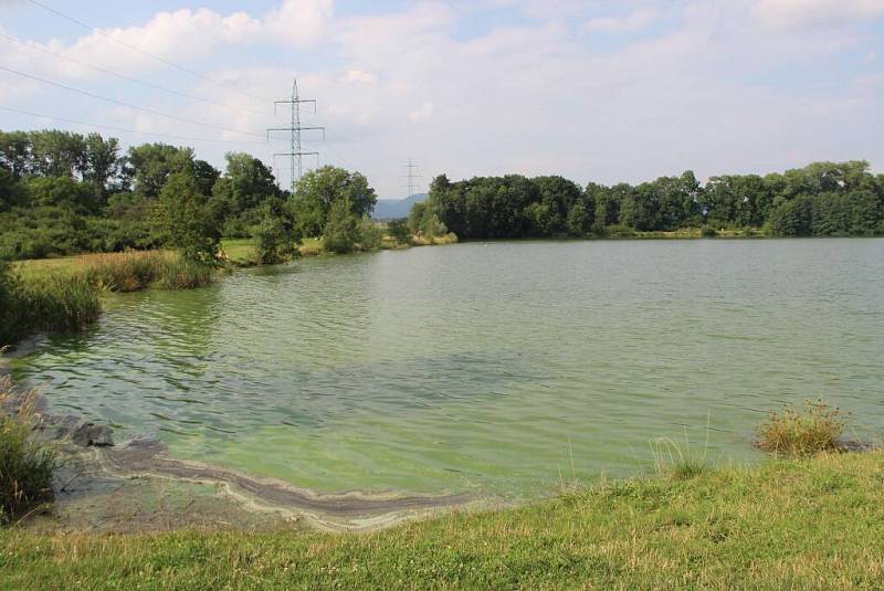 Konec července 2016. Jezero Jadran v Oseku nad Bečvou