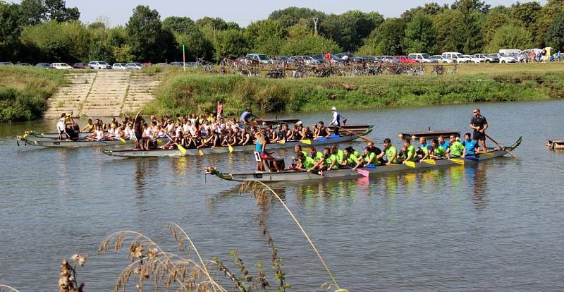 Festival dračích lodí v Kojetíně