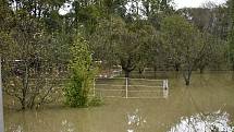 Rozvodněná Morava v Kojetíně, zaplavila třeba i fotbalové hřiště nebo loděnici. 15.10. 2020