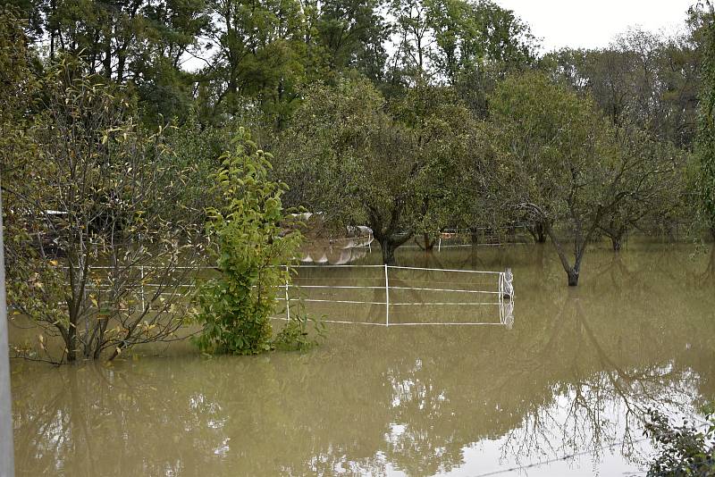 Rozvodněná Morava v Kojetíně, zaplavila třeba i fotbalové hřiště nebo loděnici. 15.10. 2020