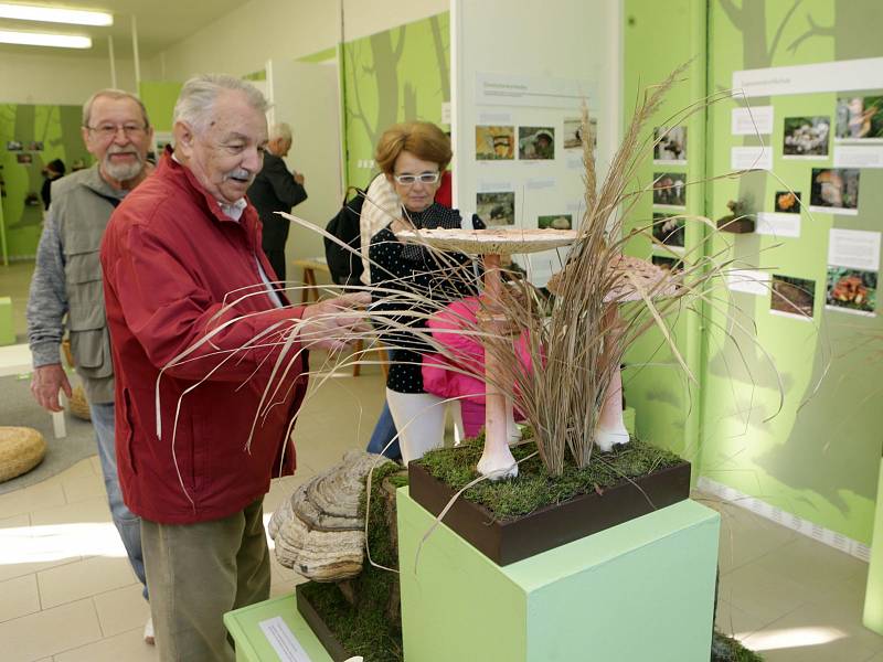 Výstava modelů hub, literatury a zavařenin.