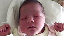 Laura Hrutkaiová, Přerov, narozena dne 8. září 2013 v Přerově, míra: 51 cm, váha: 3390 g 