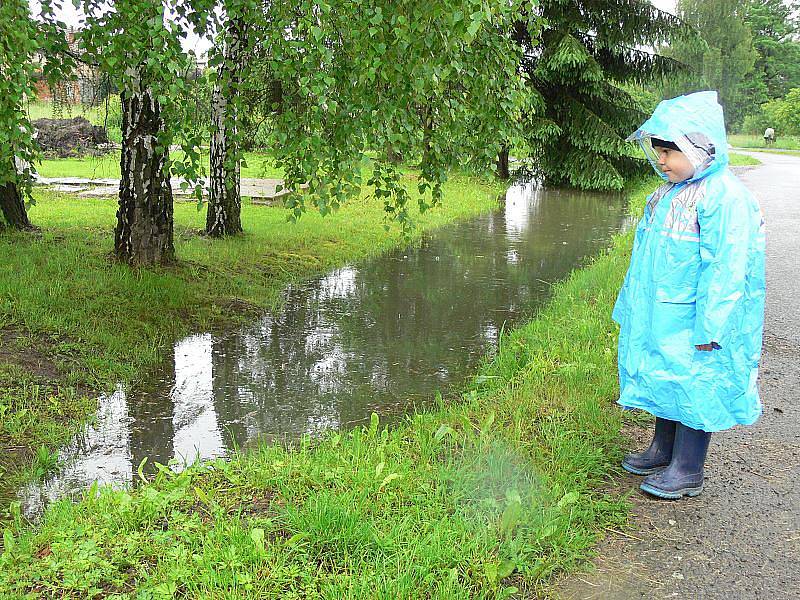 Polom u Bělotína na Hranicku - 2.6.2010