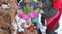 Děti z mateřinky na Struhlovsku v Hranicích krmily lesní zvěř