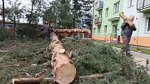 Vichřice napáchala škody na třídě 1. máje, kde spadl nedaleko obchodu Hruška vrostlý smrk. Na sídlišti Struhlovsko to odneslo hned stromů několik. Před domem číslo 1410 a 1411 nevydržely nárazy silného větru hned tři vzrostlé borovice a na dům s číslem 14