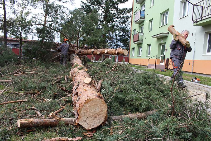 Vichřice napáchala škody na třídě 1. máje, kde spadl nedaleko obchodu Hruška vrostlý smrk. Na sídlišti Struhlovsko to odneslo hned stromů několik. Před domem číslo 1410 a 1411 nevydržely nárazy silného větru hned tři vzrostlé borovice a na dům s číslem 14