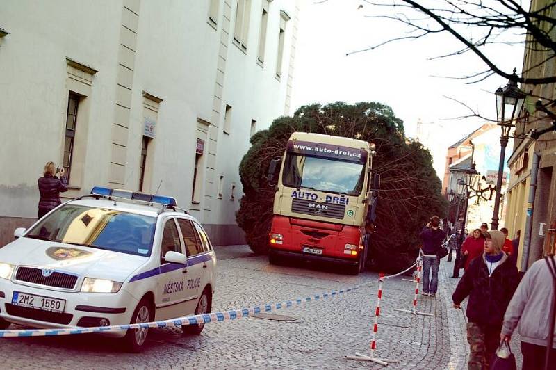 Vánoční strom přivezli na hranické náměstí