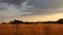 Nad Odrami, u Dobešova a Veselí, je krajina otevřená nejen větrům a slunci.