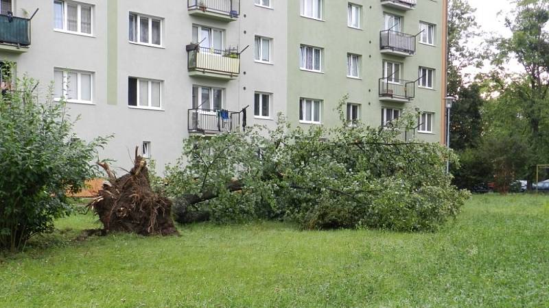 Následky bouřky 28.7.2020 na hranickém sídlišti Struhlovsko