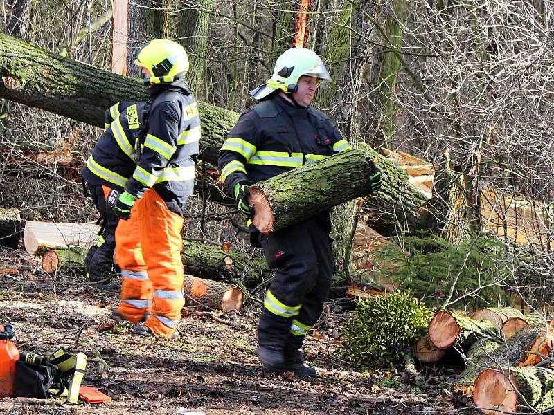 Hasiči odstraňovali v pondělí  10. února po poledni stromy, které silný vítr vyvrátil na garáž na Nové ulici v Hranicích.