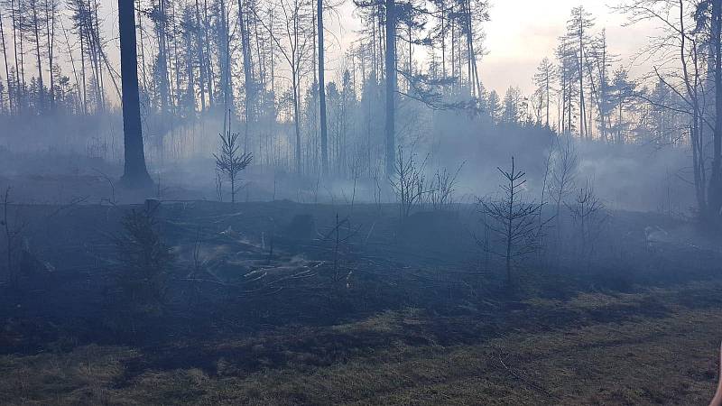 Rozsáhlý lesní požár v úterý  2. dubna na Potštátsku