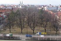  Jedna třetina Husova náměstí se dočká ještě letos nových vozovek a chodníků. Počítá se také s obnovou parku. 