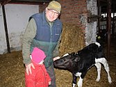 Farmář Antonín Horník chodí na každodenní obchůzky po statku i se svou tříletou vnučkou Sofií.