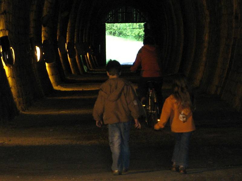 Bývalý železniční tunel ve Slavíči.