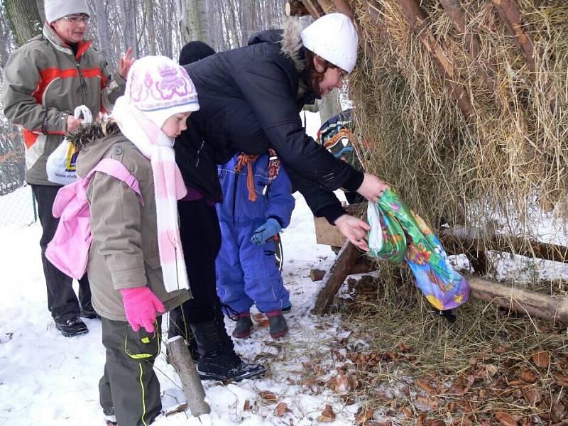 Děti z mateřinky na Struhlovsku v Hranicích krmily lesní zvěř