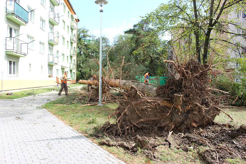 Vichřice napáchala škody na třídě 1. máje, kde spadl nedaleko obchodu Hruška vrostlý smrk. Na sídlišti Struhlovsko to odneslo hned stromů několik. Před domem číslo 1410 a 1411 nevydržely nárazy silného větru hned tři vzrostlé borovice a na dům s číslem 14