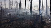 Rozsáhlý lesní požár v úterý  2. dubna na Potštátsku