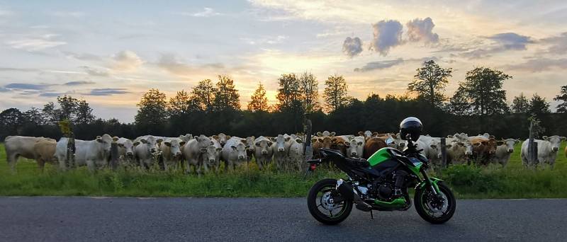 Okolí Winkelsdorfu, osady na polovině cesty mezi Boškovem a Středolesím.