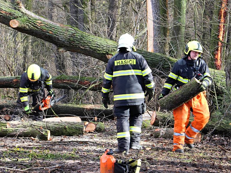 Hasiči odstraňovali v pondělí  10. února po poledni stromy, které silný vítr vyvrátil na garáž na Nové ulici v Hranicích.