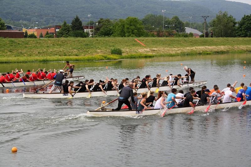 Festival dračích lodí v Hranicích