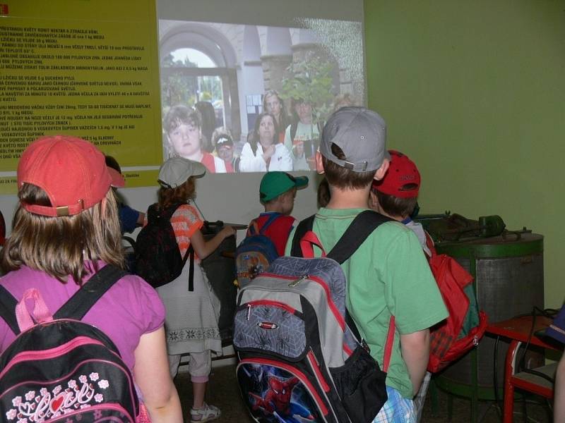 Účastníci výtvarné soutěže ve Včelařském muzeu v Hranicích