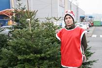 Prodej vánočních stromků v Hranicích