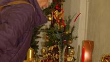 Vánoční výstavu, která byla k vidění o víkendu v Domě zahrádkářů v Beňově, připravili už potřetí členové místního Klubu důchodců. 