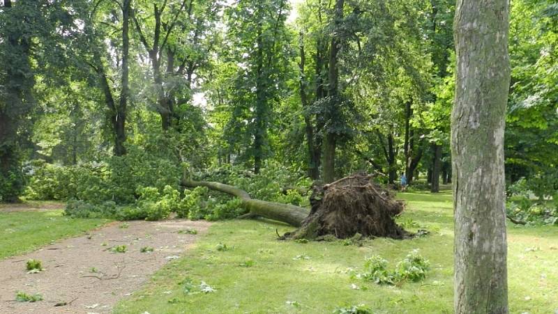 Následky bouřky 28.7.2020 v hranickém parku