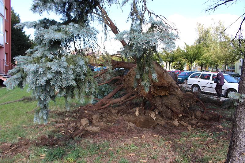 Vichřice napáchala škody na třídě 1. máje, kde spadl nedaleko obchodu Hruška vrostlý smrk. Na sídlišti Struhlovsko to odneslo hned stromů několik. Před domem číslo 1410 a 1411 nevydržely nárazy silného větru hned tři vzrostlé borovice a na dům s číslem 14