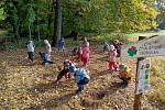 Děti z Mateřské školy Čtyřlístek v Milenově vysadily smíšený lesík.