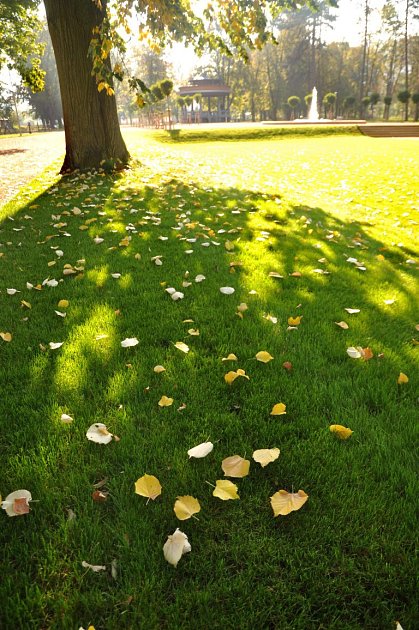 Nově zrekonstruovaný hranický park 