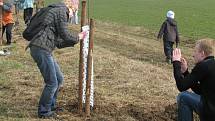 Obec Polom na Hranicku má od soboty 28. března novou ovocnou alej. Jabloně, hrušně, slivoně a třešně sem přijeli vysadit lidé z nejrůznějších koutů republiky.