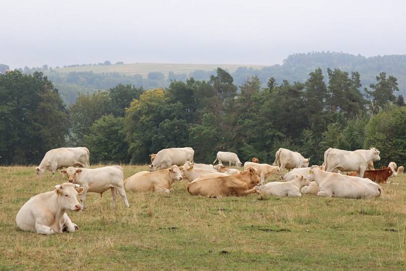 Místa, která stojí v Čechách, na Moravě i Slovensku za to navštívit.