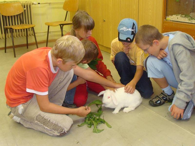 Úzký kontakt se zvířaty mají děti na příměstském táboře, který uspořádalo Středisko volného času Atlas a Bios v Přerově.