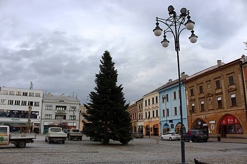 Vánoční strom na Masarykově náměstí v Hranicích.