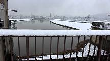 Stav řeky Bečvy v Hranicích - 4. února 2019