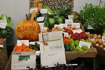 Expozice zelinářské firmy Semo Smržice sklidila na poslední výstavě Flora ocenění. 