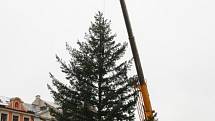 Usazování vánočního stromu na náměstí v Hranicích