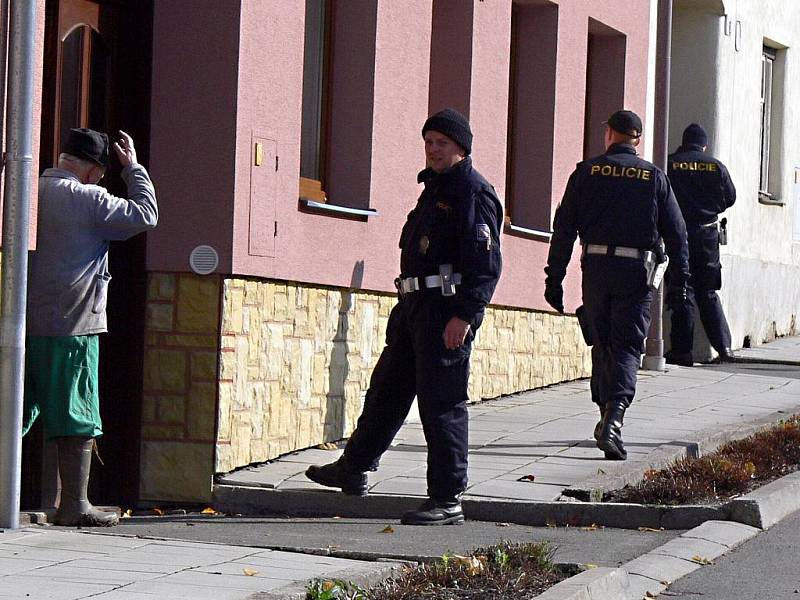 Část policistů prohledávala místa, kam pohřešovaná ráda chodila na procházky, další skupina strážců zákona obcházela její sousedy a hledala v jejich výpovědích stopy, které by mohly vnést do případu ženina zmizení jasno.