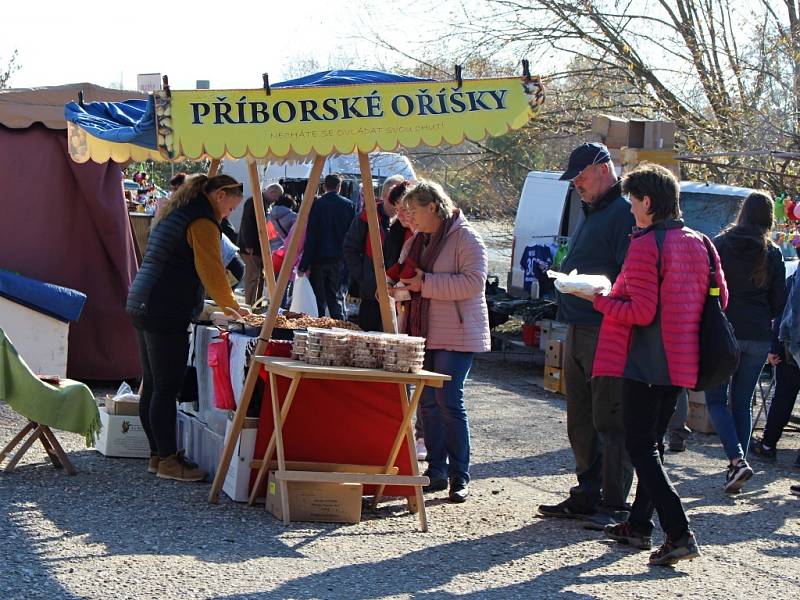 Výlov rybníku Choryně Velká v Hustopečích nad Bečvou, neděle 31. října 2021.